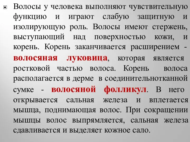 Волосы у человека выполняют чувствительную функцию и играют слабую защитную и