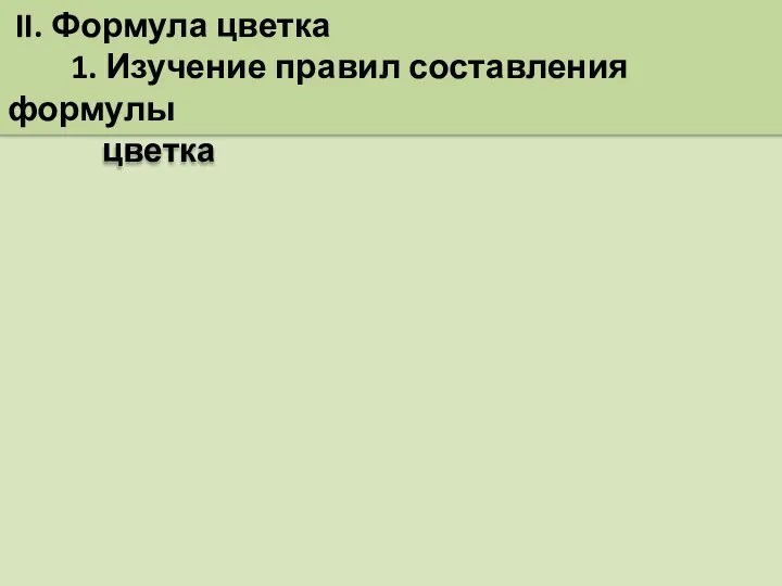 II. Формула цветка 1. Изучение правил составления формулы цветка