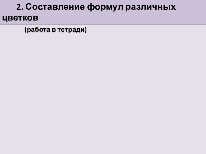 2. Составление формул различных цветков (работа в тетради)