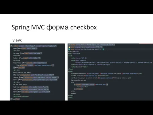 Spring MVC форма checkbox view: