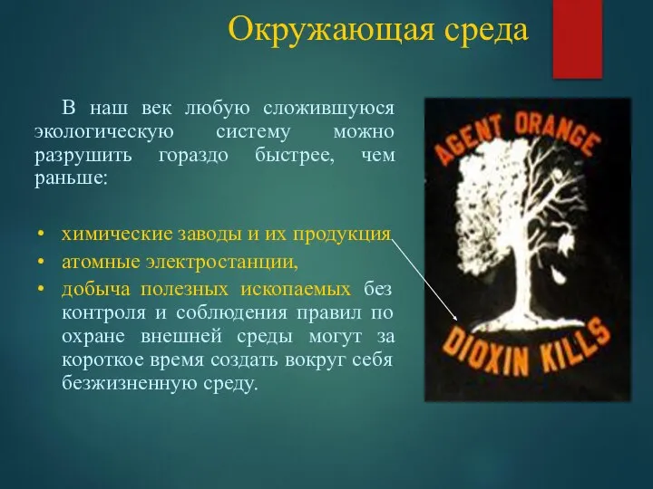 Окружающая среда В наш век любую сложившуюся экологическую систему можно разрушить