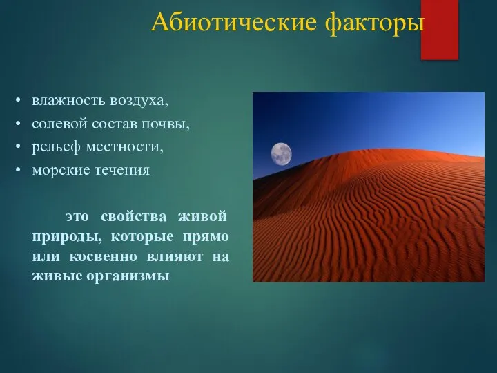 Абиотические факторы влажность воздуха, солевой состав почвы, рельеф местности, морские течения