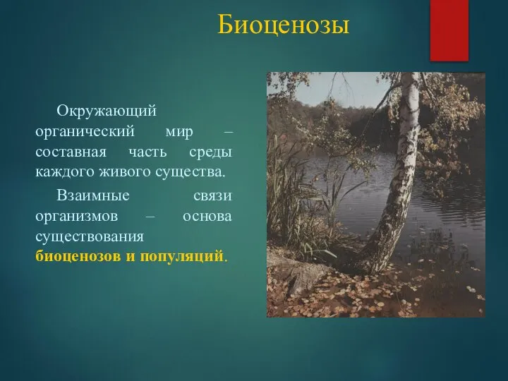 Биоценозы Окружающий органический мир – составная часть среды каждого живого существа.