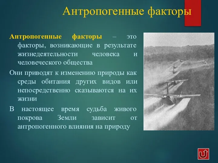 Антропогенные факторы Антропогенные факторы – это факторы, возникающие в результате жизнедеятельности