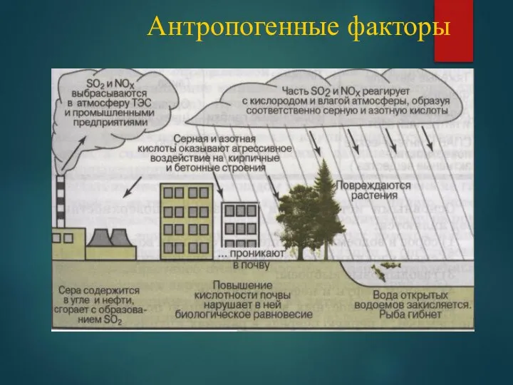 Антропогенные факторы