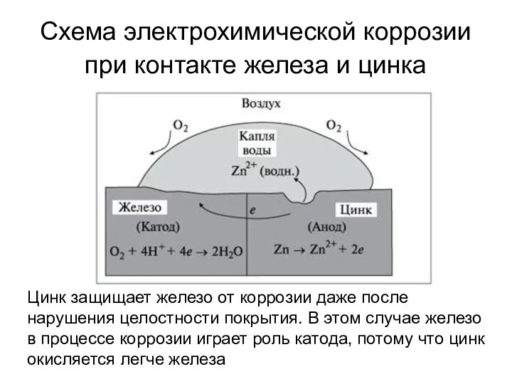 Схема электрохимической коррозии при контакте железа и цинка Цинк защищает железо