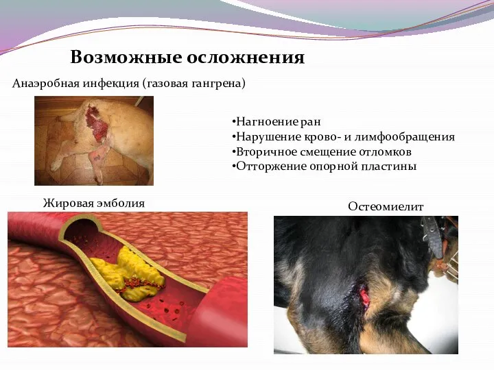 Возможные осложнения Жировая эмболия Анаэробная инфекция (газовая гангрена) Остеомиелит Нагноение ран