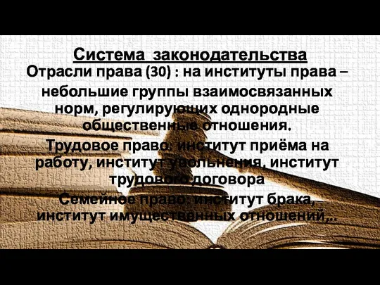 Система законодательства Отрасли права (30) : на институты права – небольшие