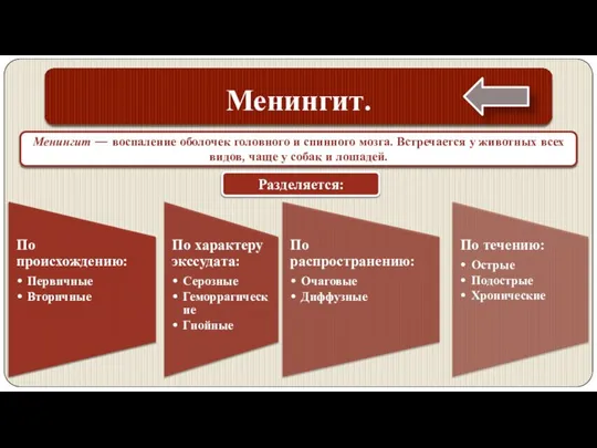 Менингит. Менингит — воспаление оболочек головного и спинного мозга. Встречается у