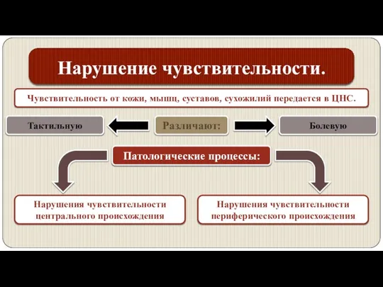 Нарушение чувствительности. Чувствительность от кожи, мышц, суставов, сухожилий передается в ЦНС.