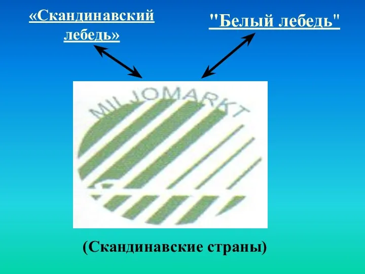 «Скандинавский лебедь» "Белый лебедь" (Скандинавские страны)