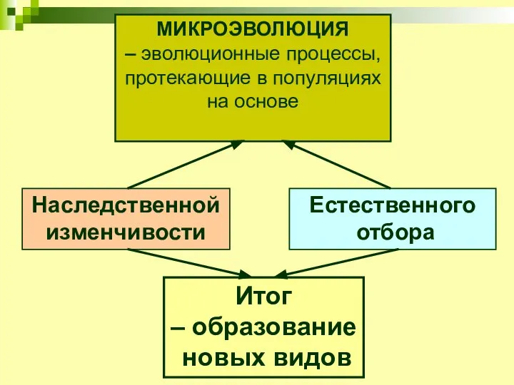 МИКРОЭВОЛЮЦИЯ – эволюционные процессы, протекающие в популяциях на основе Наследственной изменчивости