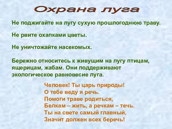 Не поджигайте на лугу сухую прошлогоднюю траву. Не рвите охапками цветы.