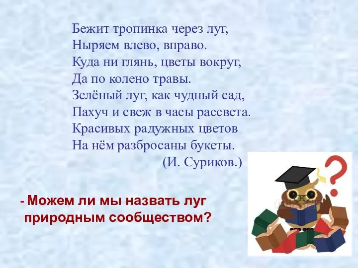 Бежит тропинка через луг, Ныряем влево, вправо. Куда ни глянь, цветы