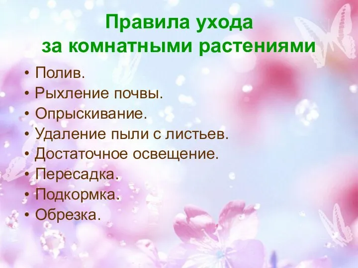 Правила ухода за комнатными растениями Полив. Рыхление почвы. Опрыскивание. Удаление пыли