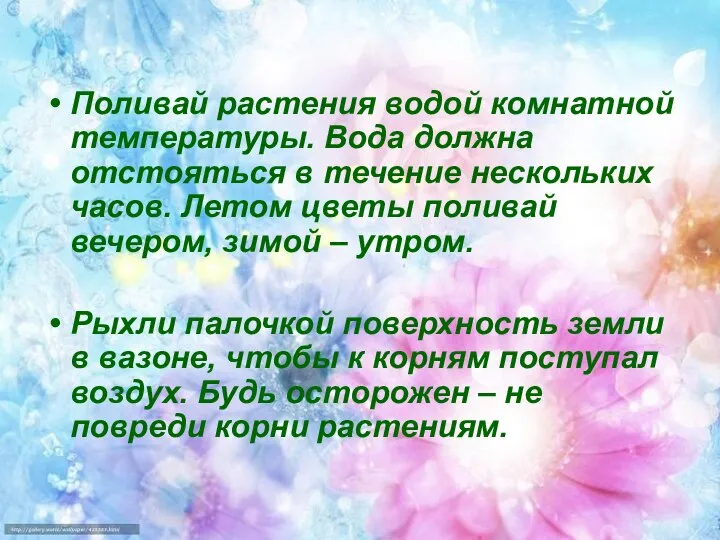 Поливай растения водой комнатной температуры. Вода должна отстояться в течение нескольких