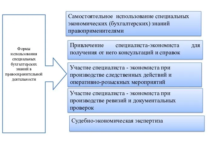 Формы использования специальных бухгалтерских знаний в правоохранительной деятельности Самостоятельное использование специальных