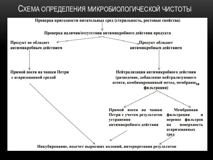 СХЕМА ОПРЕДЕЛЕНИЯ МИКРОБИОЛОГИЧЕСКОЙ ЧИСТОТЫ