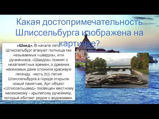 «Швед». В начале лета Шлиссельбург атакуют полчища так называемых «шведов», или