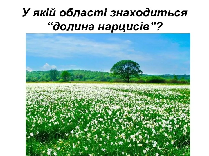 У якій області знаходиться “долина нарцисів”?