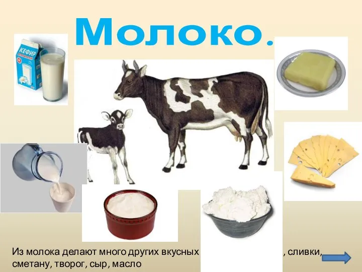 Молоко. Из молока делают много других вкусных продуктов: кефир, сливки, сметану, творог, сыр, масло