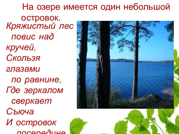 Кряжистый лес повис над кручей, Скользя глазами по равнине, Где зеркалом