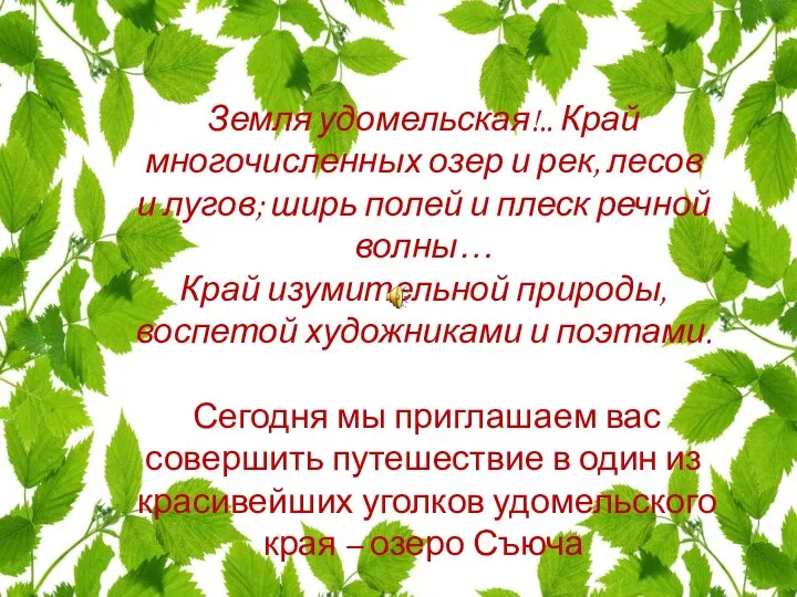 Земля удомельская!.. Край многочисленных озер и рек, лесов и лугов; ширь