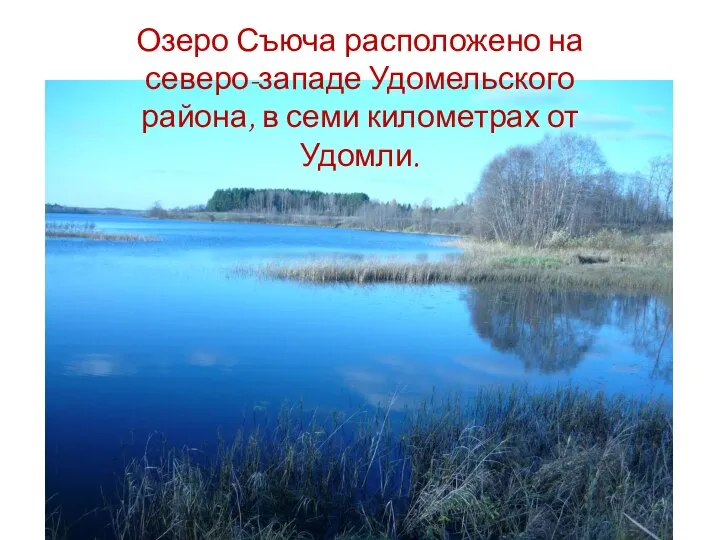 Озеро Съюча расположено на северо-западе Удомельского района, в семи километрах от Удомли.