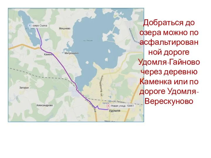 Добраться до озера можно по асфальтированной дороге Удомля-Гайново через деревню Каменка или по дороге Удомля- Верескуново