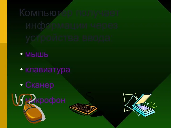 Компьютер получает информации через устройства ввода: мышь клавиатура Сканер микрофон