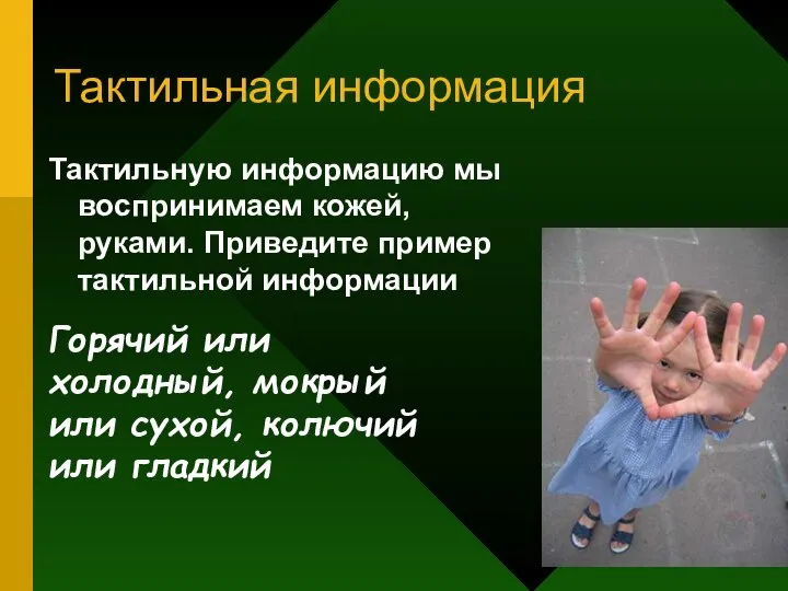 Тактильная информация Тактильную информацию мы воспринимаем кожей, руками. Приведите пример тактильной