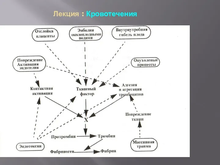 Лекция : Кровотечения