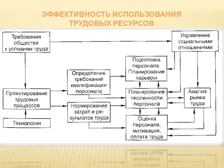 ЭФФЕКТИВНОСТЬ ИСПОЛЬЗОВАНИЯ ТРУДОВЫХ РЕСУРСОВ