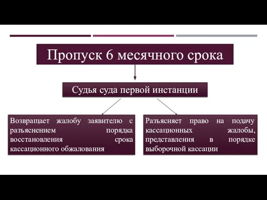 Пропуск 6 месячного срока Судья суда первой инстанции Возвращает жалобу заявителю