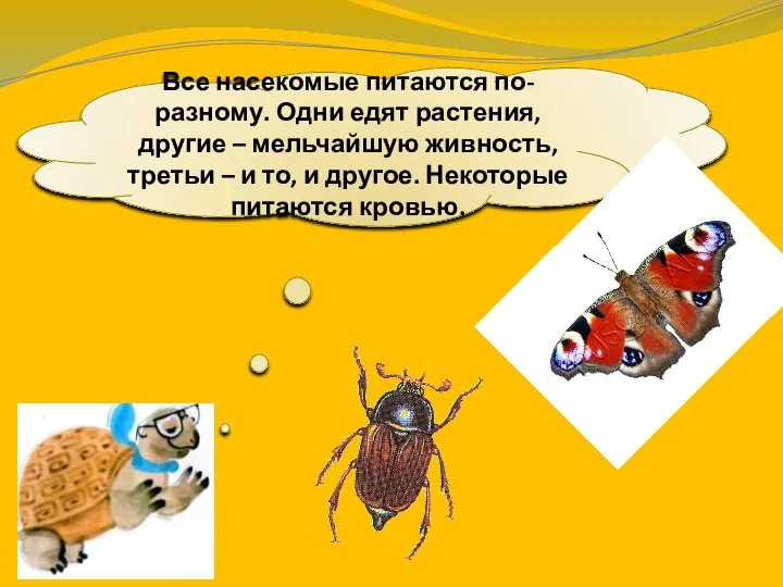 Все насекомые питаются по-разному. Одни едят растения, другие – мельчайшую живность,