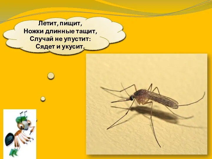 Летит, пищит, Ножки длинные тащит, Случай не упустит: Сядет и укусит.