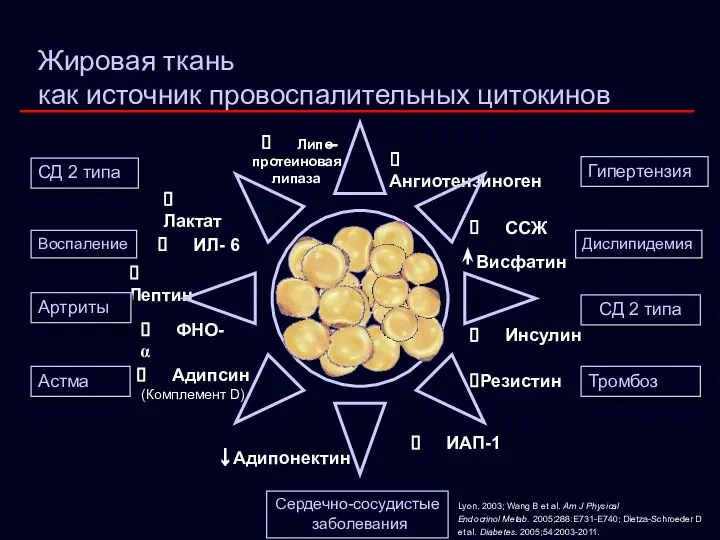 Жировая ткань как источник провоспалительных цитокинов ? Лактат ? Ангиотензиноген ?