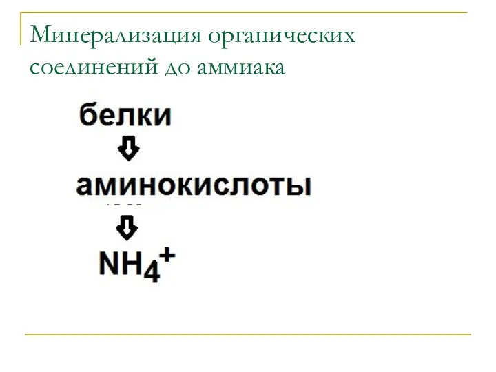 Минерализация органических соединений до аммиака