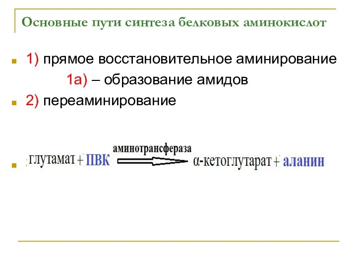 Основные пути синтеза белковых аминокислот 1) прямое восстановительное аминирование 1а) –