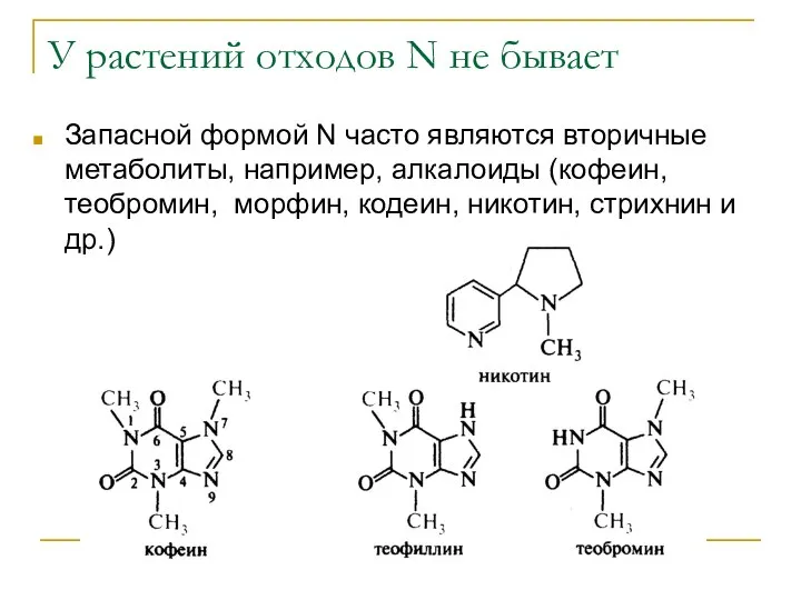 У растений отходов N не бывает Запасной формой N часто являются