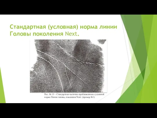 Стандартная (условная) норма линии Головы поколения Next. Рис. № 15 –