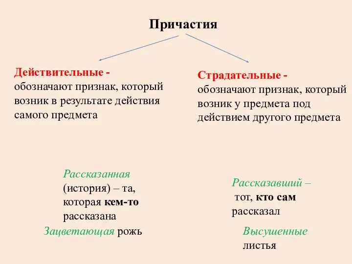 Причастия Действительные - обозначают признак, который возник в результате действия самого