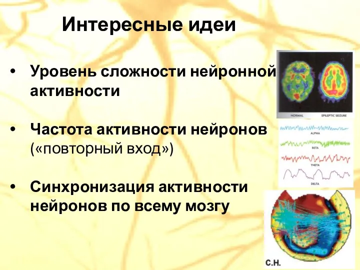 Интересные идеи Уровень сложности нейронной активности Частота активности нейронов («повторный вход»)