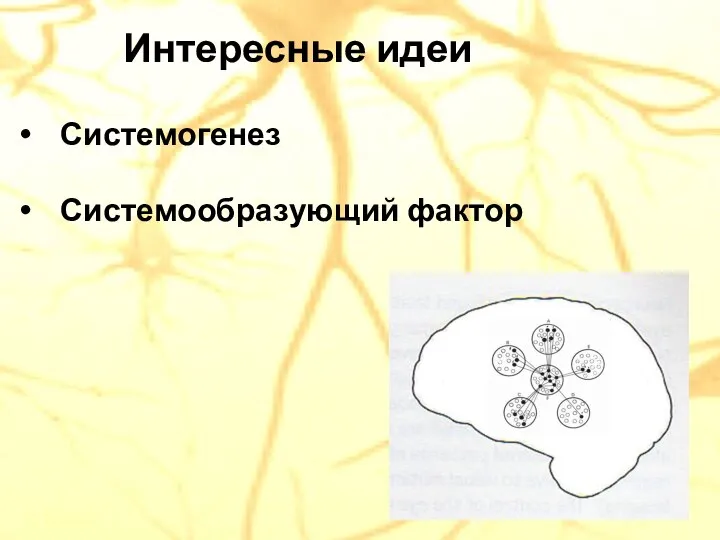 Интересные идеи Системогенез Системообразующий фактор