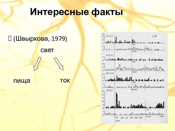 Интересные факты (Швыркова, 1979) свет пища ток