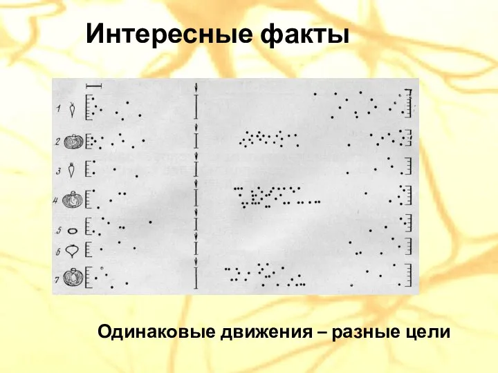 Интересные факты Одинаковые движения – разные цели