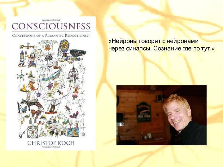 «Нейроны говорят с нейронами через синапсы. Сознание где-то тут.»