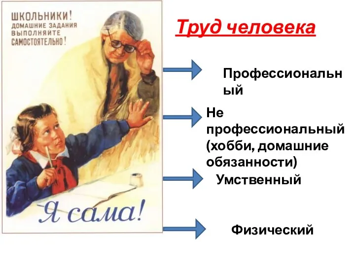 Труд человека Профессиональный Не профессиональный (хобби, домашние обязанности) Умственный Физический