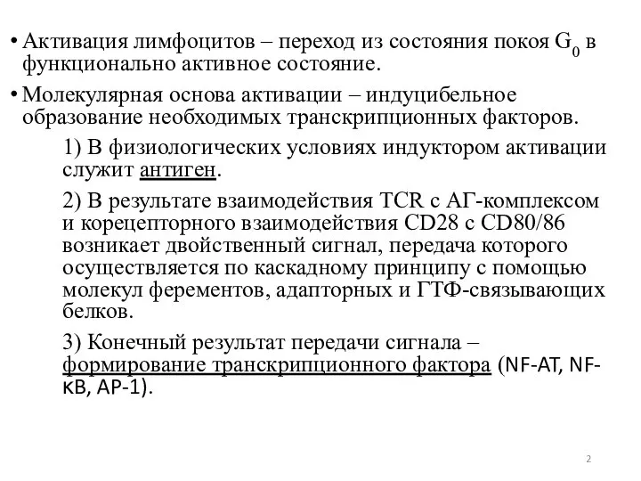 Активация лимфоцитов – переход из состояния покоя G0 в функционально активное