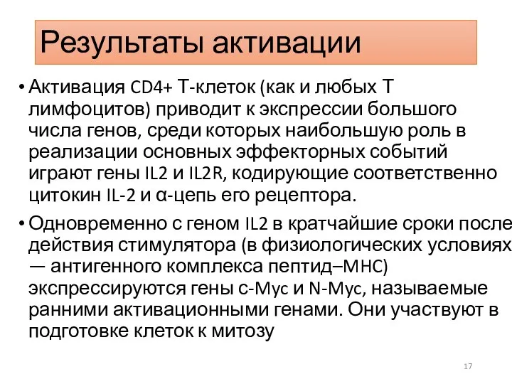 Результаты активации Активация CD4+ Т-клеток (как и любых Т лимфоцитов) приводит